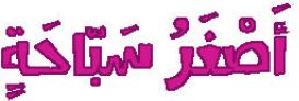 الدرس الثامن عشر أصغر سباحة